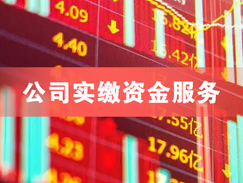 聊城公司实缴资金服务
